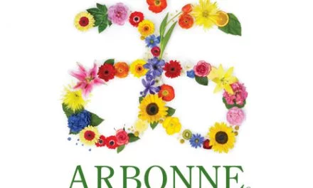 Defining Daniel | Arbonne Canada’s Protein Shake Mix Meal Replacement