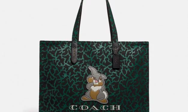 Look Book | Coach X Disney Spring 2019